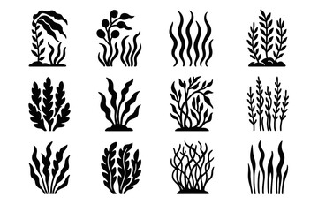 Underwater icon dense kelp tall leaf forest bulb vector patch thin icons