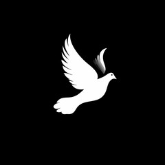 white dove flying in the sky
