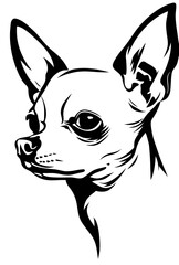 vector illustration of a cat