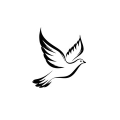 dove of peace vector