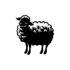 vector illustration of sheep