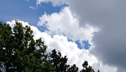 Clouds and trees against a blue sky