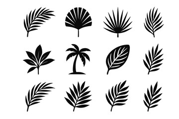 Spread single vector icon palm leaf minimal frond stylized veins