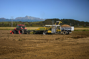 Fototapeta premium Combine harvester loading harvested potatoes into truck on a clear day with mountains in background