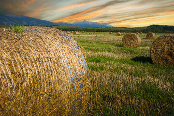 Hay bales resting on a stubble field during a vibrant summer sunset, illustrating rural agriculture
