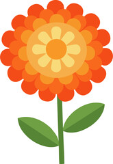 Gerbera daisy orange flower vector illustration of nature and floral pattern for summer design