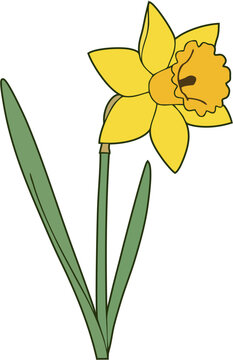Bright yellow daffodil flower with a green leaf, signifying spring and Easter blossom