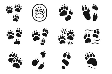 Fototapeta premium Bear icon track print prints dirt spread vector soft paw rear imprint