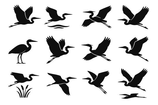 Icons off flight tucked turning glide neck vector heron view side icon