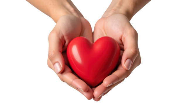 Pair of hands gently cradles vibrant red heart, symbolizing love and care. image conveys warmth and affection, perfect for expressing emotions