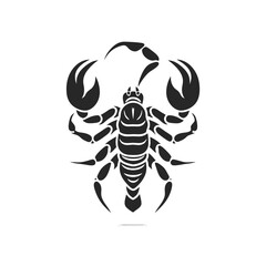 scorpion isolated on white