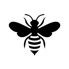 bee on white background