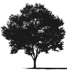 Fototapeta premium vector tree silhouette