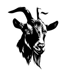 vector illustration of a goat