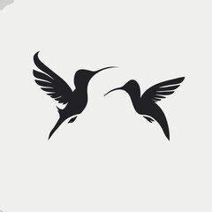 vector illustration of a pair of birds