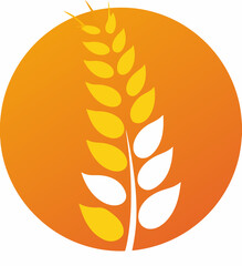 vector illustration of a golden wheat