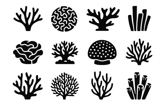 Fire staghorn fan icon coral elkhorn vector organ icons brain lettuce reef