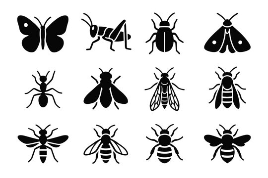 Glacier silhouette highland icon insect icons fly vector alpine snow butterfly ant