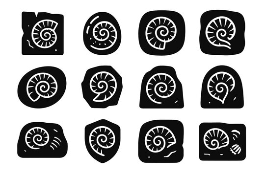 Sample imprint shell rock marine spiral icon vector fossil stone mark