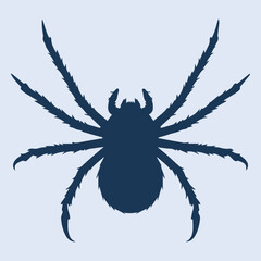 spider on a white background