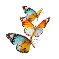 Fototapeta premium Three vivid orange white and blue butterflies fluttering gracefully with detailed wings on a black backdrop isolated on transparent background
