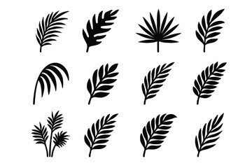 Obraz premium Symmetrical icon vector droop style palm burst tall foliage fronds jagged