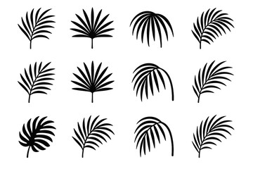 Airy vector palm drooping burst elegant natural icon deep leaf frond
