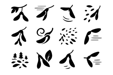 Fototapeta premium Maple dispersing twin seed motion isolated vector simple seeds icons icon dispersal