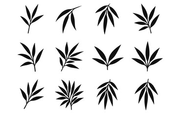 Fototapeta premium Wide stem icon bunch hanging bamboo leafy modern vector upward dense leaf
