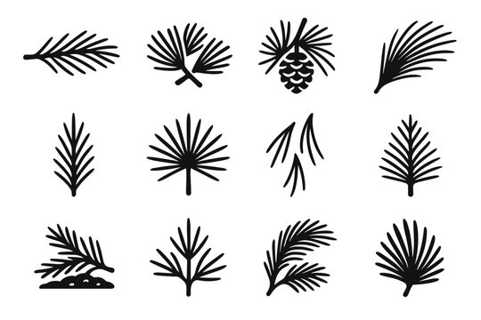 Needles sprig icon forest winter vector thin pine curved twig vertical tree