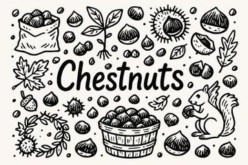 Chestnut icons outline set. nuts, forest elements, squirrel outline illustration