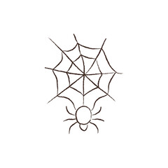 line vector illustration of a spider on a spider web. hand drawn spider web. halloween spider.