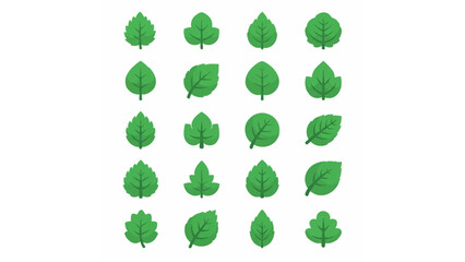 green leaf shape vector