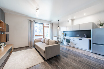 Modern Home Bright Open Concept Apartment Interior with Kitchen and Living Room