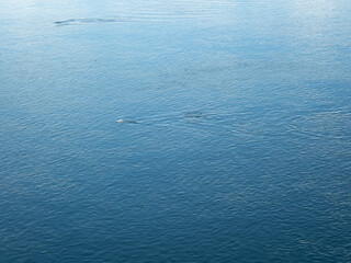 Abstraction with water