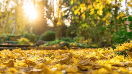 Obraz premium vegetation. Autumn garden bathed in warm sunlight with scattered golden leaves and peaceful ambiance. representing seasonal cycles and harvest abundance.