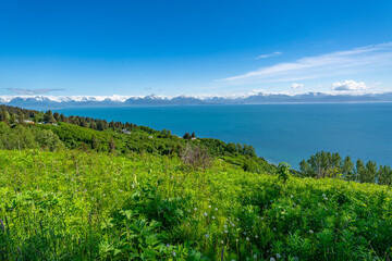 Alaska mountains, glacier, forest, view of Homer spit