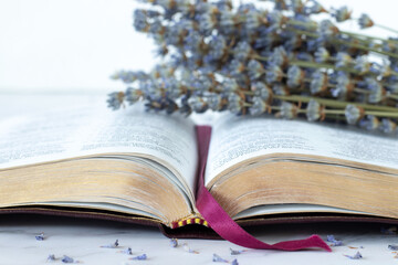 Christian holy bible book with lavender flowers and white background. Close-up. Copy space. Biblical study and education concept.