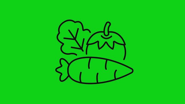 Vegetables icon animation with oultline style with arrot, tomato, and lettuce. Animated vegetable icon on green screen