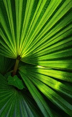 A vibrant, detailed close-up view of a lush palm leaf, showcasing intricate veins and highlights of sunlight.