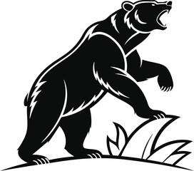 Fototapeta premium Black bear roaring standing 