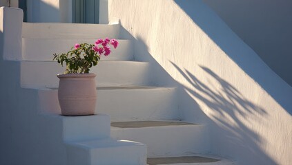 Pink flowers in terracotta pot on white steps. Sunlight casts shadows