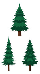 Obraz premium A collection of stylized evergreen pine trees with dark brown trunks and vibrant green foliage.