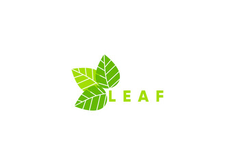 letter and leaf template vector logo illustration