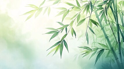 Naklejka premium Fresh bamboo leaf background image