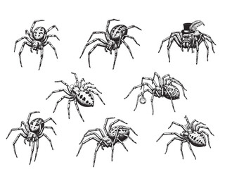 Engraved Halloween Spider Vintage Etching Creepy Insect Vector Illustration