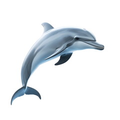 Fototapeta premium Realistic full-body side view portrait of a dolphin with smooth gray-blue skin, playful pose, cinematic lighting, soft shadows, and sharp focus on a clean white background, highly detailed and high.