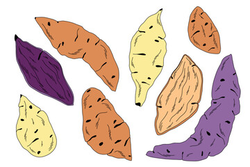 Set of yellow, red and purple sweet potatoes in different shapes and sizes, whole and cut