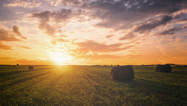 Sunset over hay bales in a field. Golden light bathes the landscape, creating a tranquil scene. For agriculture, travel and inspiring greeting card designs. Vintage film aesthetic.