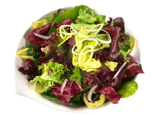 Fresh Mixed Salad in a Bowl isolated on white Background